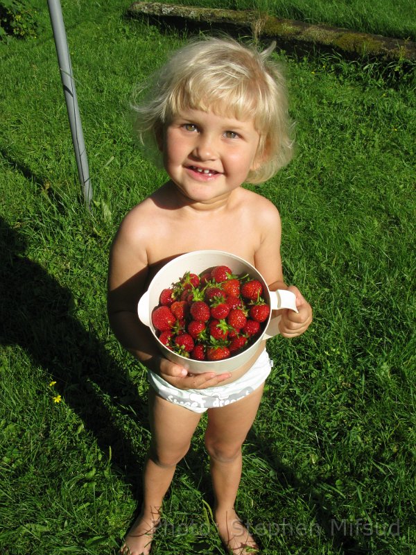 Bennas2010-4007.jpg - Miranda got duties as soon as we arrived - picking strawberries was a fun task for her.